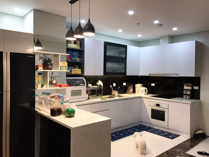 Bán căn hộ 3PN 127m2 tại chung cư Hà Đô Park View - Cầu Giấy, Full nội thất cao cấp, giá chỉ 7.x tỷ