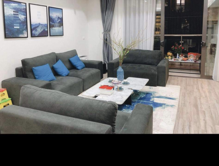 Cho thuê chung cư Dolphin Plaza, Nam Từ Liêm, Hà Nội. Full nội thất, 2PN, 2WC, vào ở được ngay