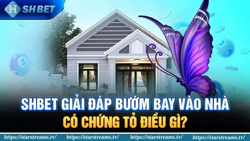 Banner www.i-ca.vn